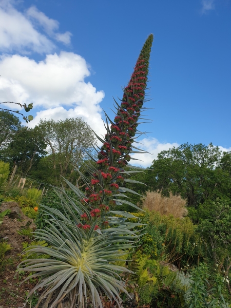 Treborth Botanic Garden, Bangor University